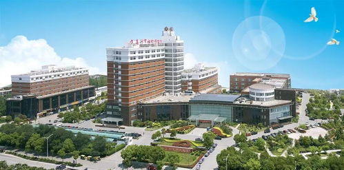 官方指定网站 嘉兴.科技城.融创建华嘉潮府售楼处面积,价格,地址详情